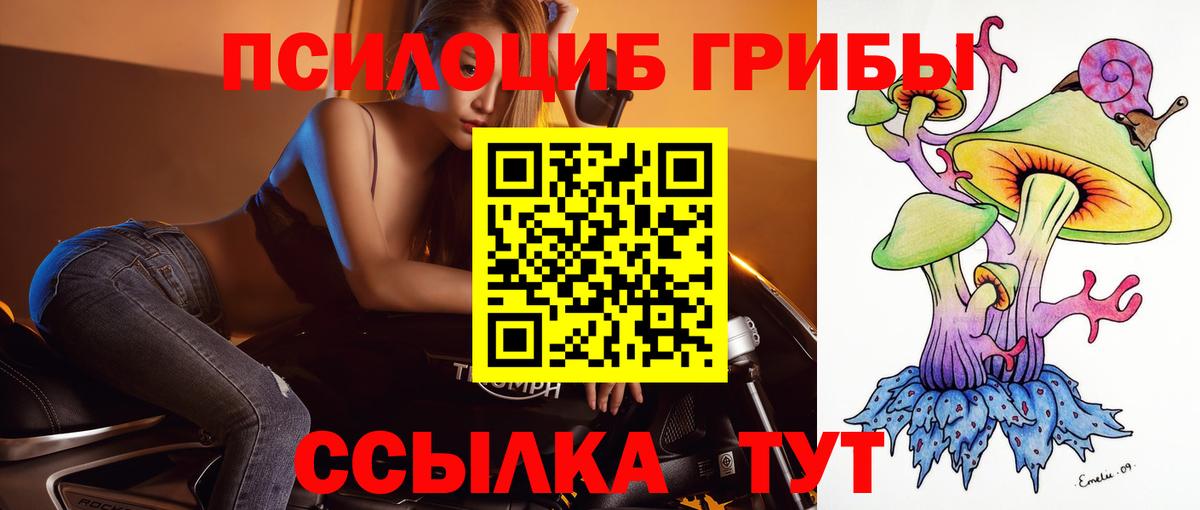 Сертолово  Псилоцибиновые грибы мицелий  где можно купить наркотик  Вход с VPN 