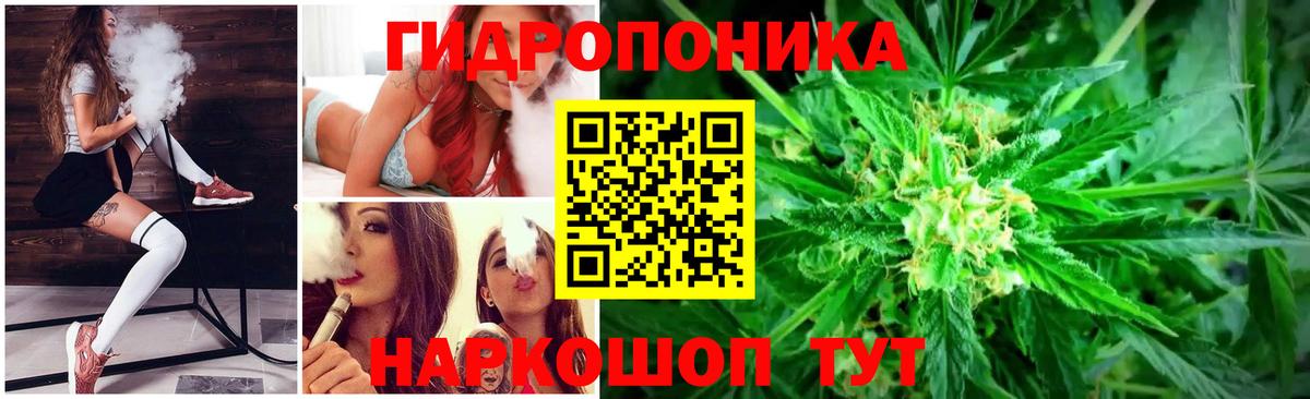 Бошки Шишки сатива Сертолово